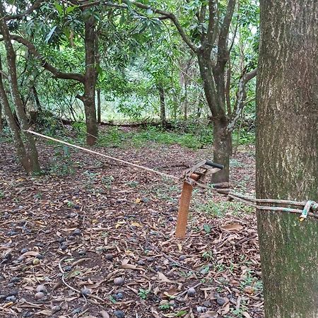 Sitio Encontro Das Aguas Brotas São Paulo Eksteriør bilde