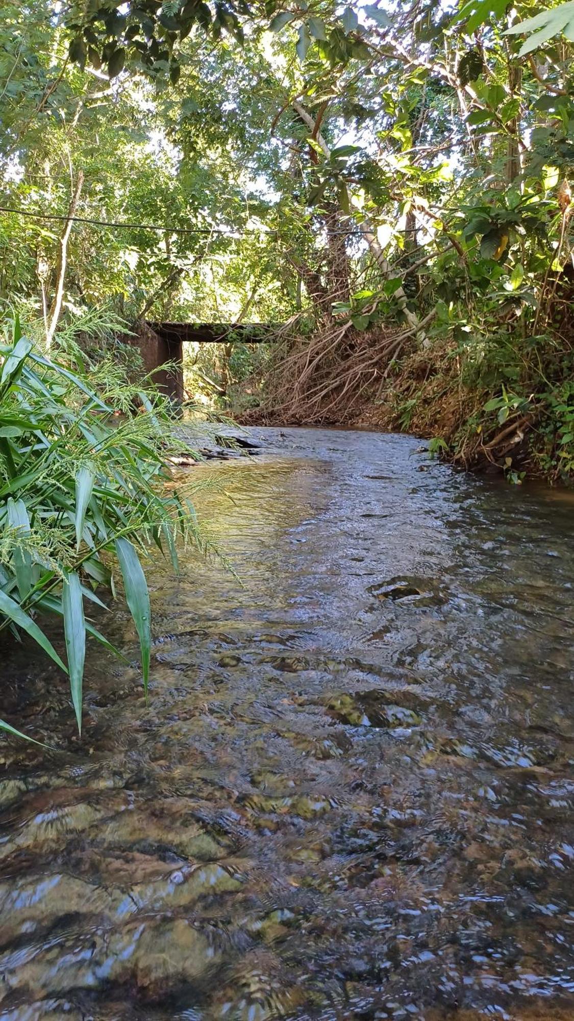 Sitio Encontro Das Aguas Brotas São Paulo Eksteriør bilde
